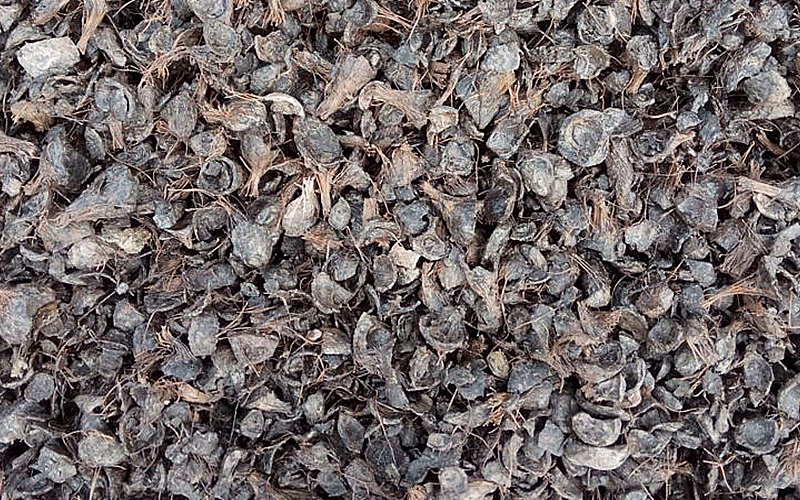 กะลาปาล์ม (Palm Kernel Shell)